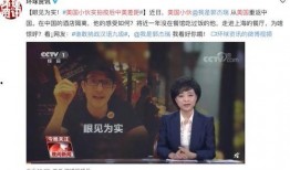 国产成视频,展现中国影视新风貌